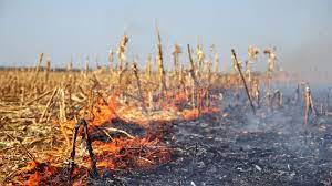 Fire Crews Called To Reports Of A Fire In Corn Fields Off Highsted Road Near Sittingbourne