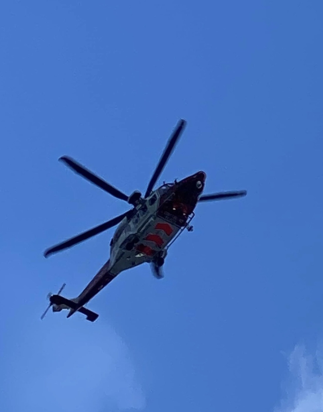 Baby rushed to hospital after being mauled by a dog in Waterlooville