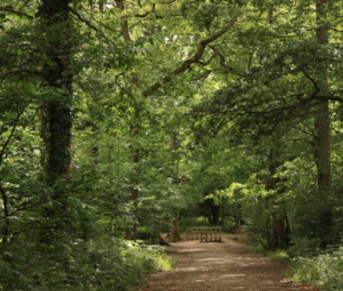 Police bail Sex attack teenager