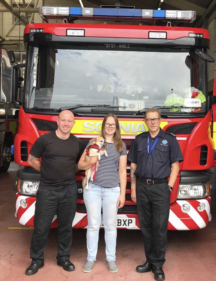 Missing pup reunited with Owner in Ryde