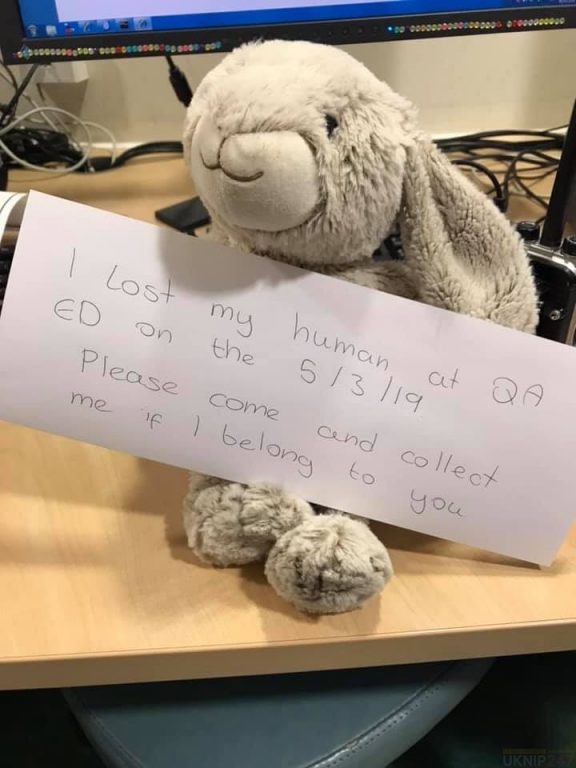 Call to reunite lost rabbit by Portsmouth A and E staff