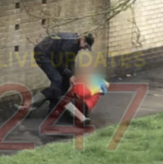 Vile street robber attacked blind Pensioner in Southampton