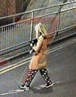 Concerns for welfare over missing teenager