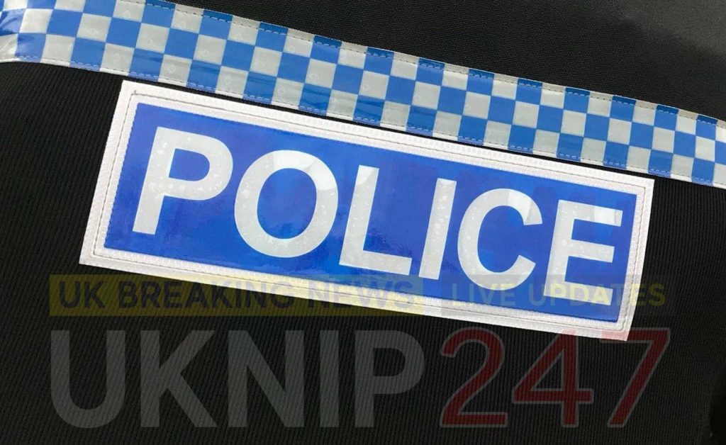 Two dead  in fatal Collision after  car  ploughed into tree