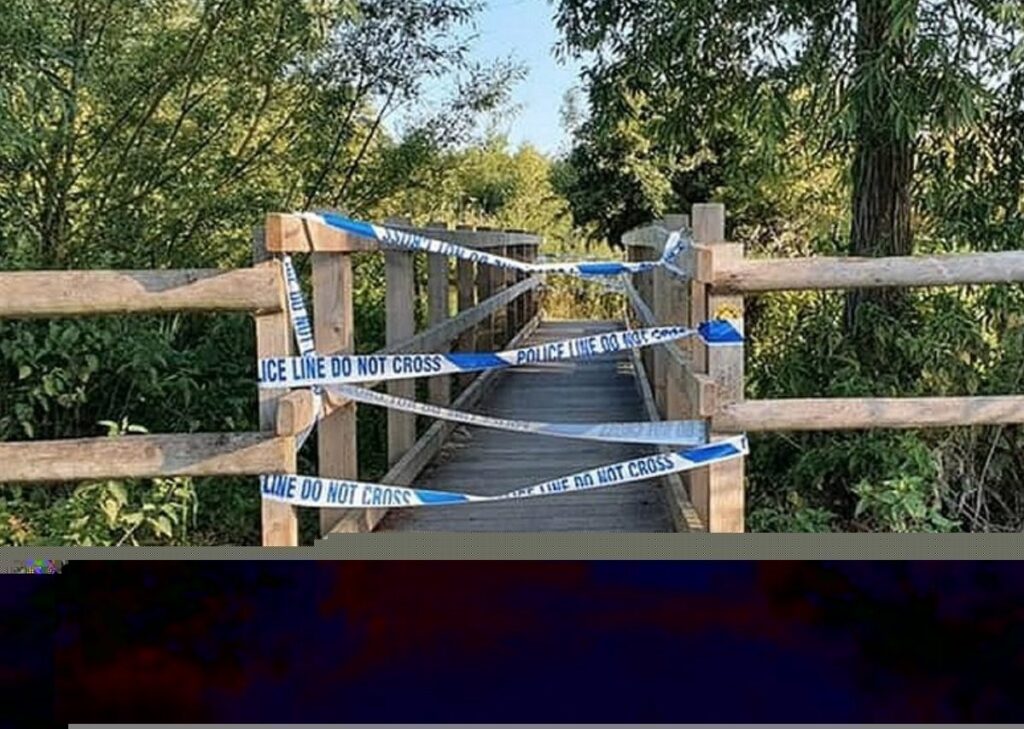 Police Launch Teen Sex Attack Probe In Snodland