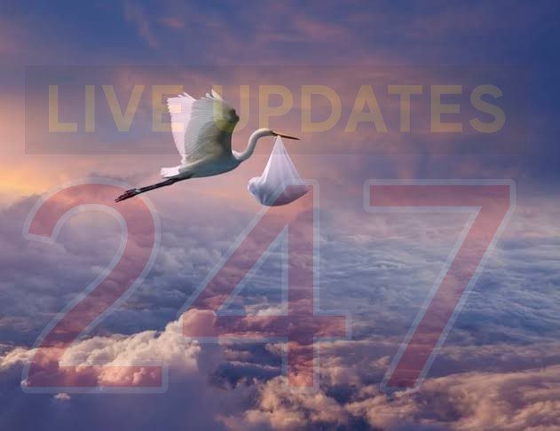 Updated:meghan Goes Into Labour With Her First Child