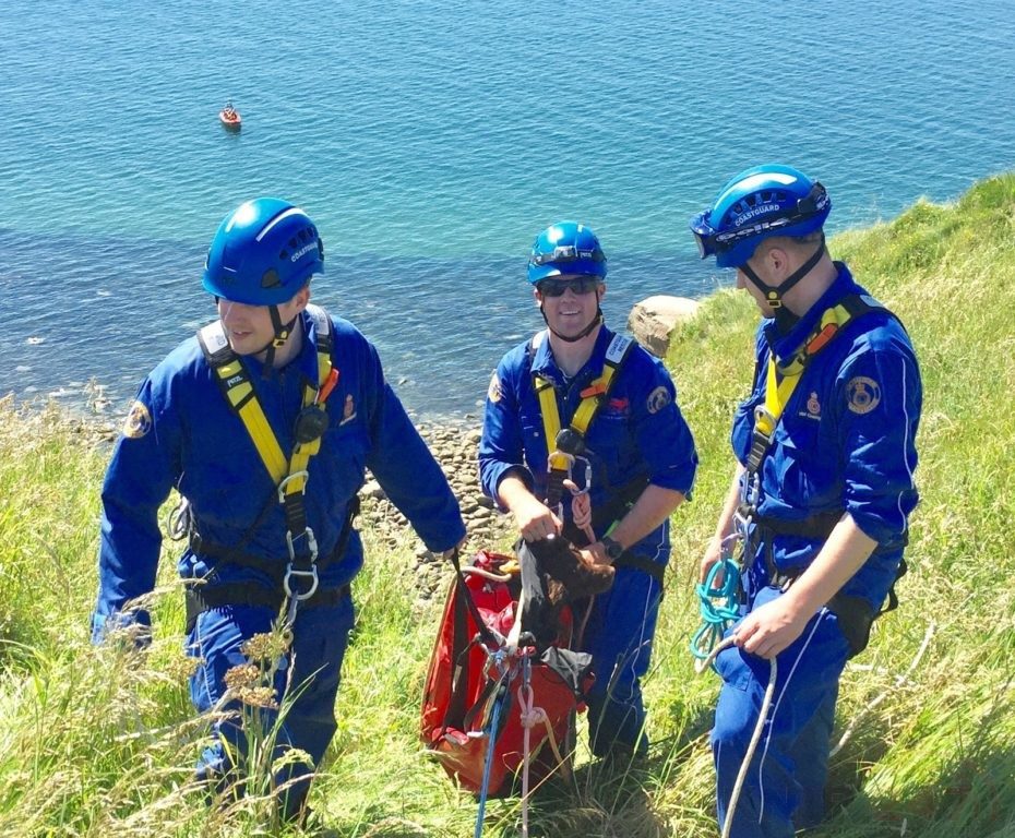 Lucky Escape For Dog Who Fell 25m Off A Cumbrian Cliff