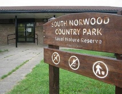 Police charge teenager with multiple sex attacks in South Norwood park