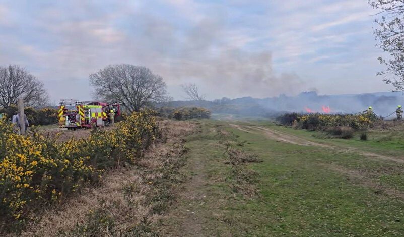 Firefighters Contain Blaze at Ashdown Forest