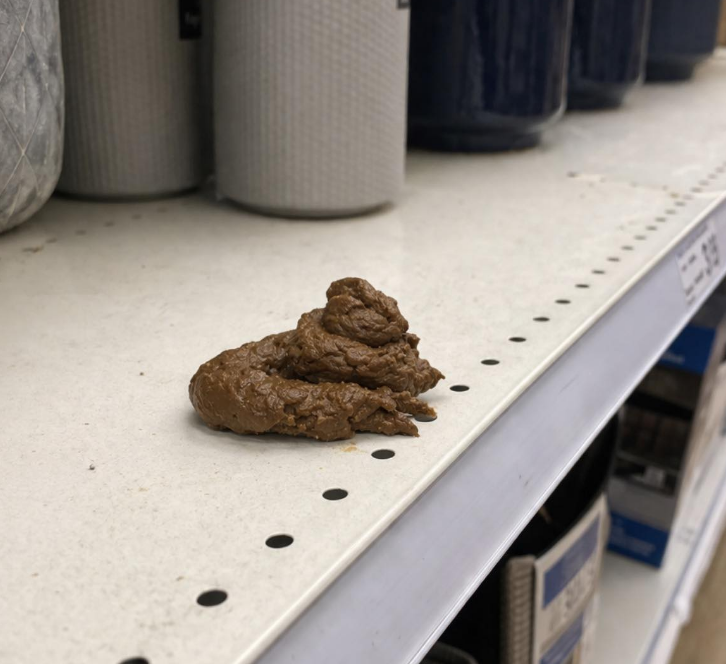 Staff Shocked by Surprise Scoop