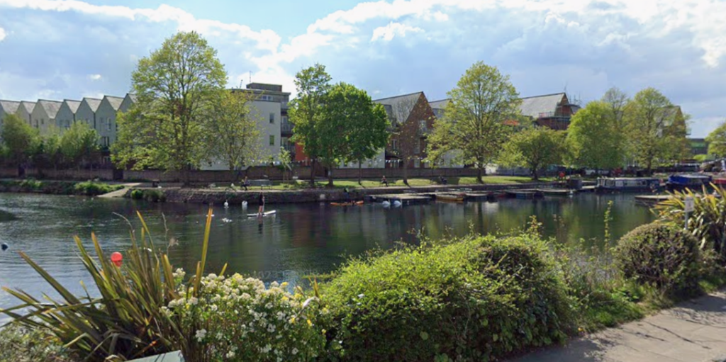 Dog Walker Pushed Into Canal by Large Bull Terrier in Chichester
