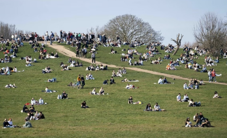 Murder Probe Launched After Man Stabbed to Death in Primrose Hill