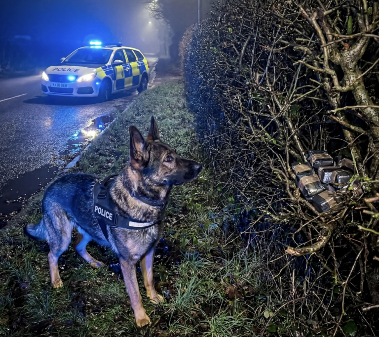 Thames Valley Police Dog Nails Two Big Busts in Days