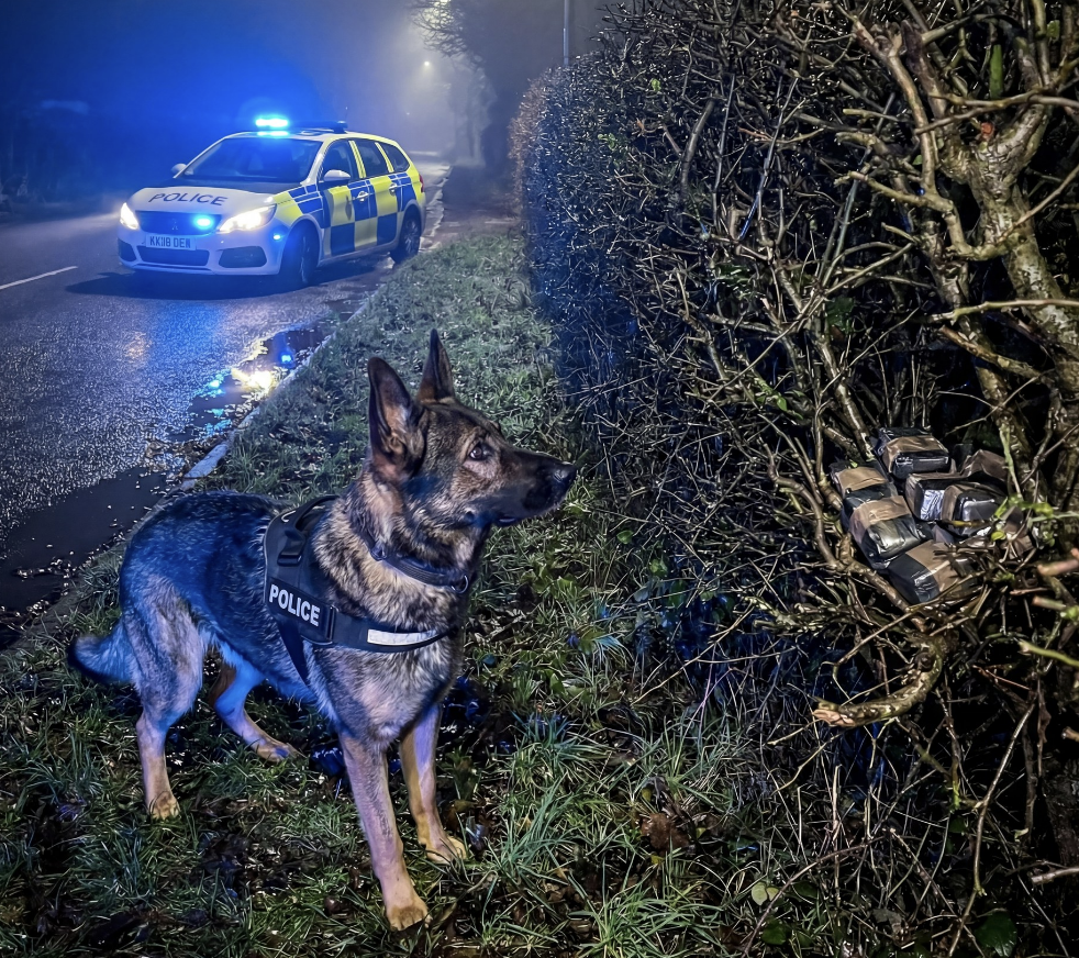 Thames Valley Police Dog Nails Two Big Busts in Days