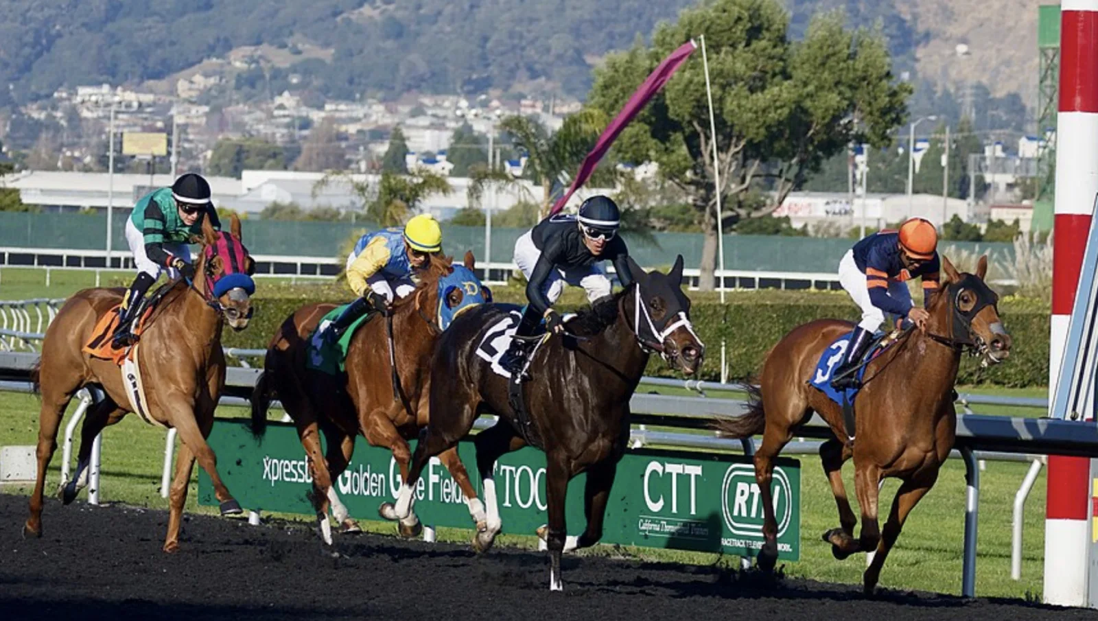 How is security organized around big horse racing events?