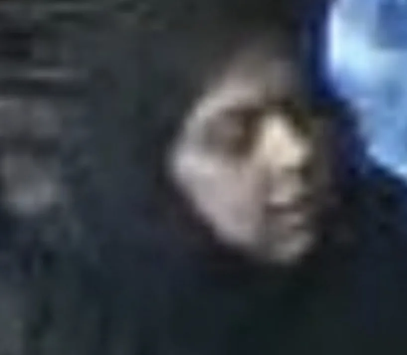 Police Hunt Woman Over Purse Theft in Shirley