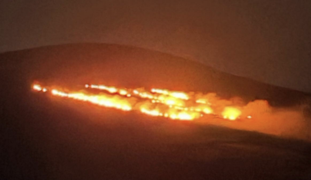 Mount Leinster Wildfire Prompts Fire Service Warning on High Risk