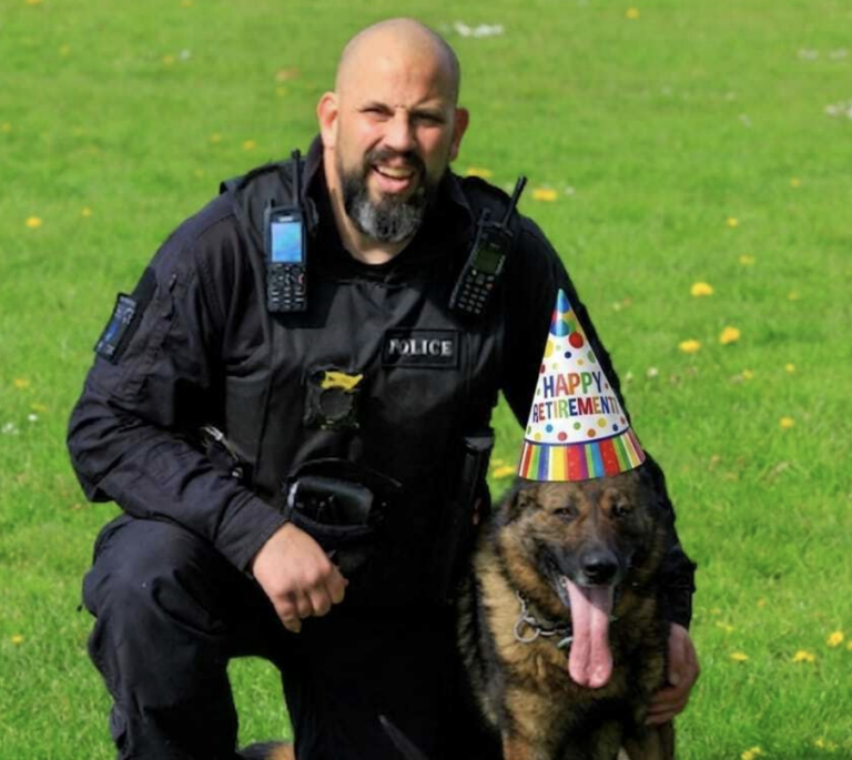 Greater Manchester Police have announced the retirement of PD Bren from the Tactical Dog Unit after six years of dedicated service