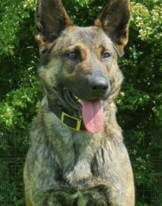 Man Assaults Six with Metal Bar at Newton-Le-Willows Hospital