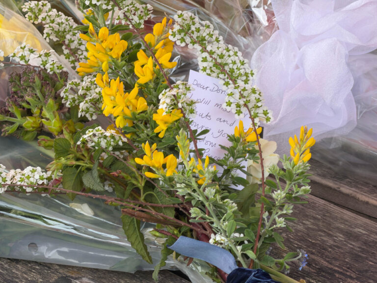 Man Arrested for Murder After Woman Stabbed to Death in Shooters Hill