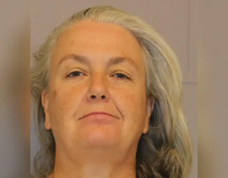 Woman Jailed After Releasing Bees On Police During Eviction