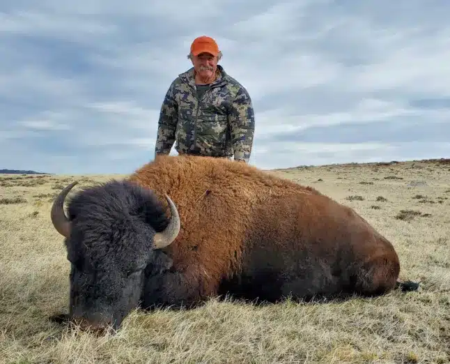 Millionaire Big Game Hunter Trampled To Death By Herd Of Five Elephants