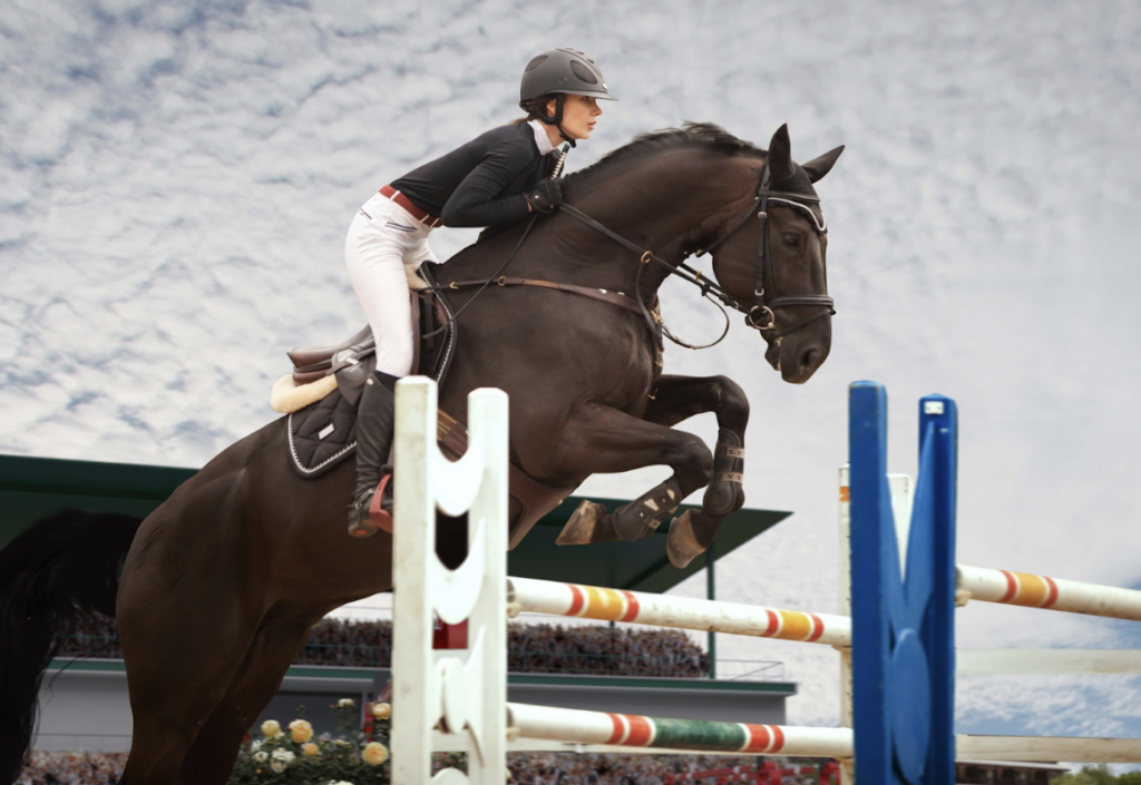 How live horse racing betting works: real-time odds and strategy