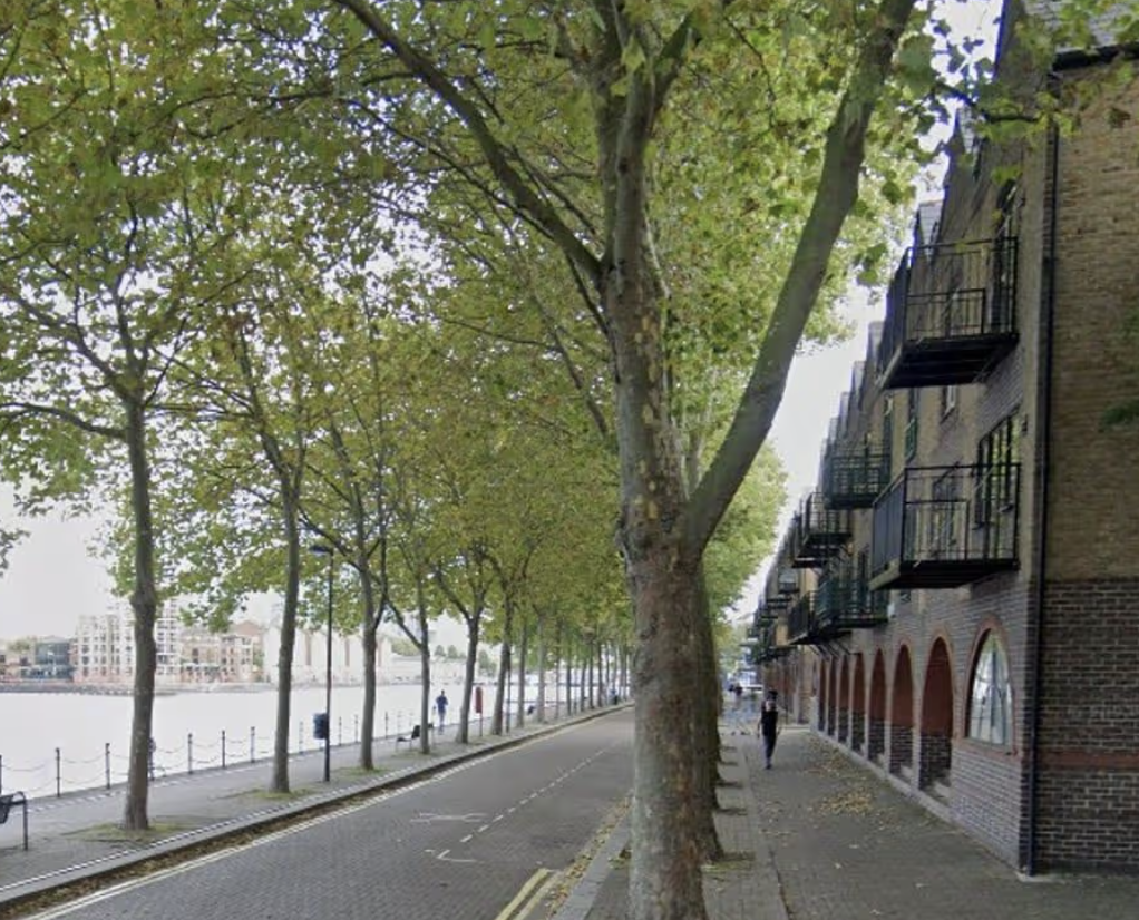 South London Man, 62, Pleads Guilty to Manslaughter of Sister in Greenland Quay Stabbing