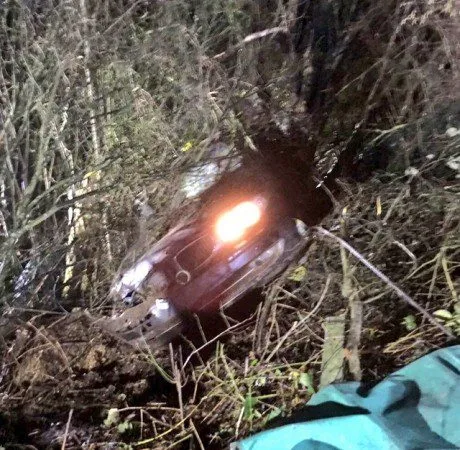 Three Rescued After Purple BMW Crashes Down A3 Embankment Near Liss