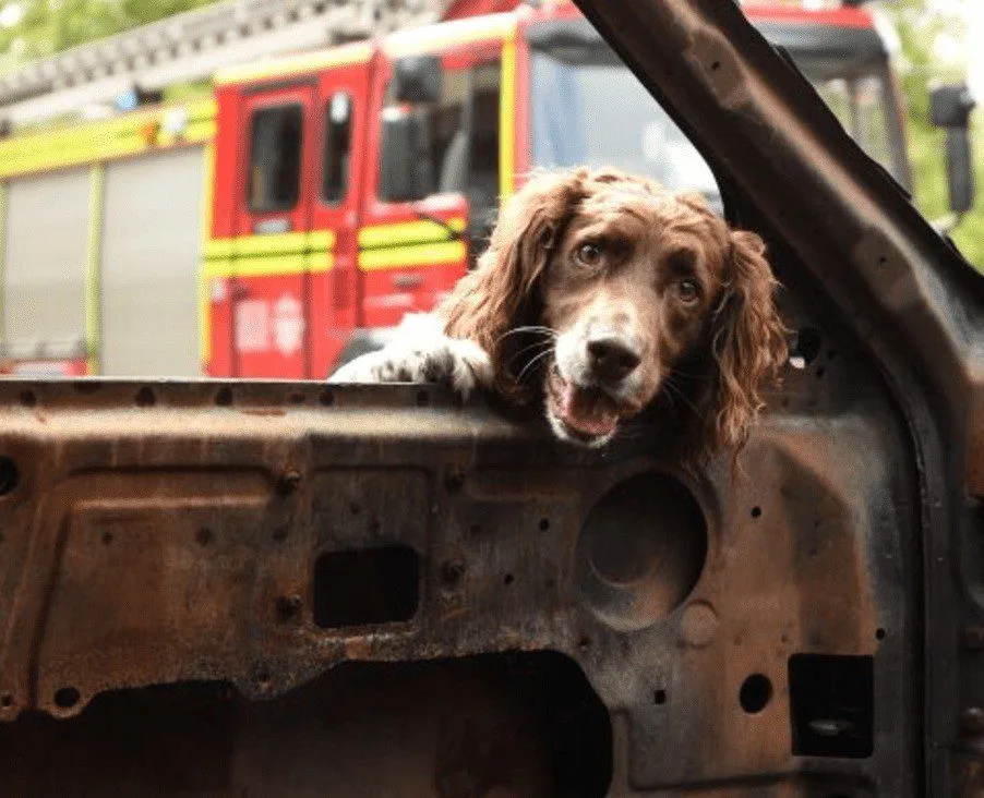 Arson Probe Launched After Early Morning Flats Fire in Southampton