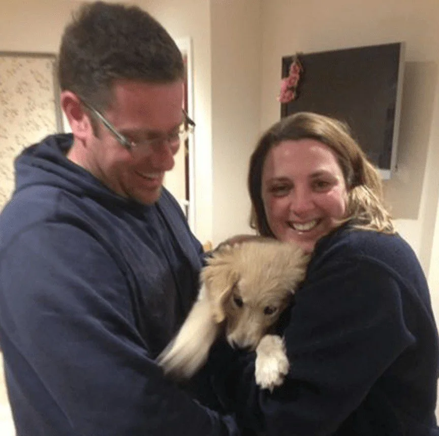 Stolen Pup Barney Rescued by Police, Reunited with Overjoyed Portsmouth Owners