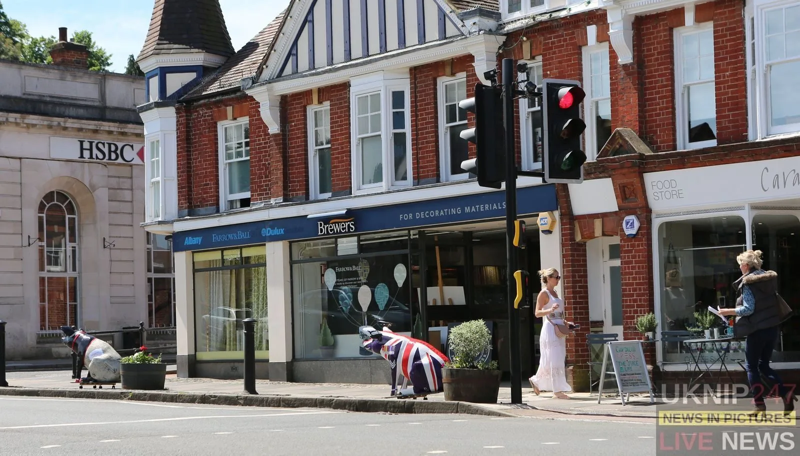 Surrey’s Haslemere Goes Hog Wild with 60 Colourful Charity Pigs Invading High Street
