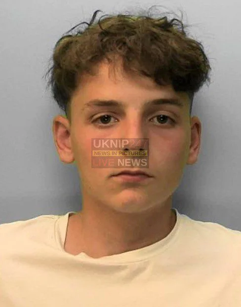 Concern for missing Regan White from Brighton