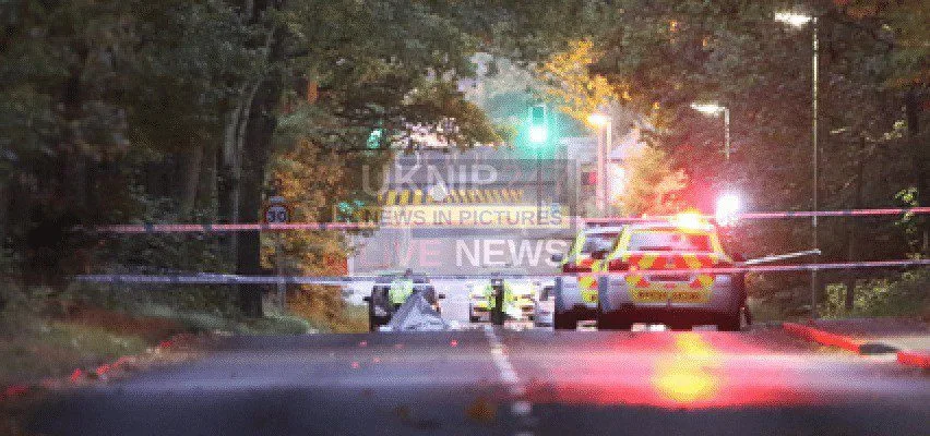 Man Held After Fatal Hit-and-Run Body Found on Woking’s Monument Road