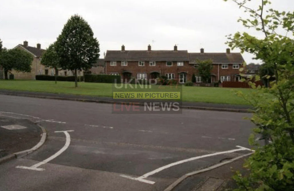Basingstoke Man Shot Twice with BB Gun After Refusing Lift – Suspect Arrested, Accomplice Sought