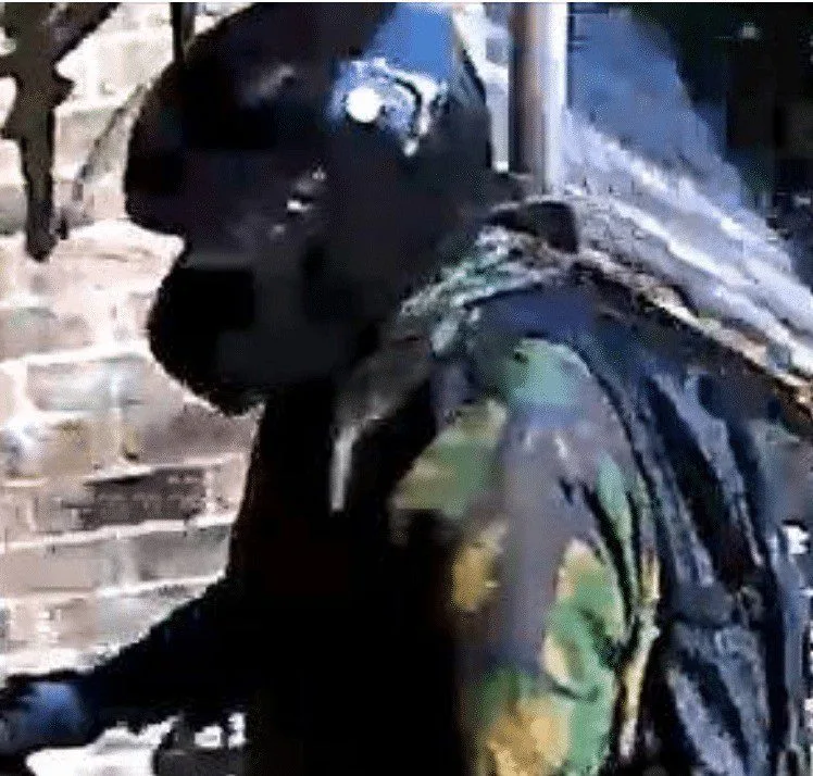 Daylight Raid in Liss: Mediterranean Burglar Steals Thousands, Flees on Silver Sports Bike