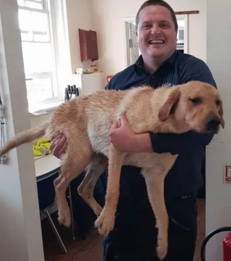 Wightlink Heroes Save Labrador Bertie After Half-Mile Sea Swim Near Ryde Pier