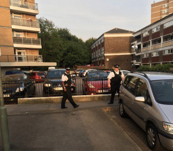 Pensioner and Two Police officers Rushed to Hospitial after Orpington Dog attack