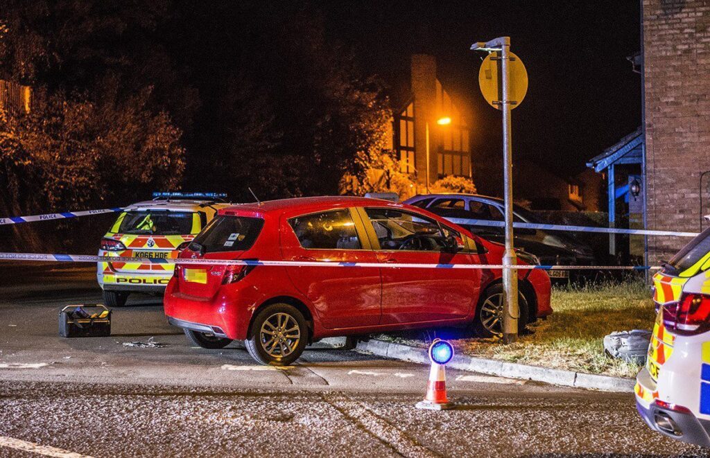 Murder suspect bailed as second man arrested after hit-and-run murder