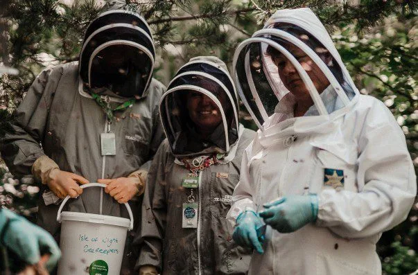 Newport Asda Buzzing to Save Isle of Wight Bees with Waste Sugar Donations