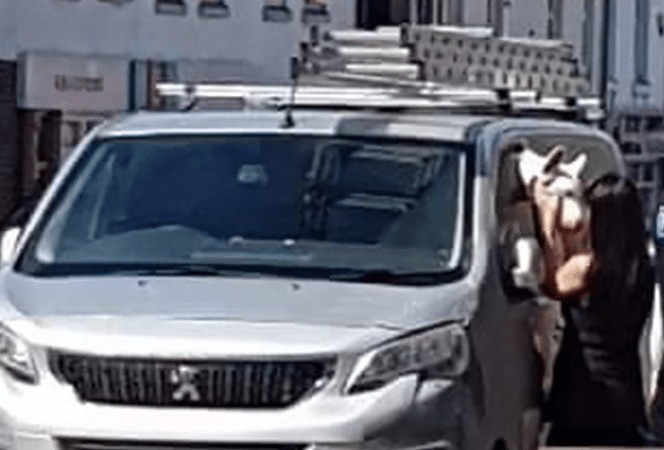 Swindon Police Rescue Overheated Dog from Hot Van as Owner Warned, Another Dog Left Panting in Escaped Vehicle