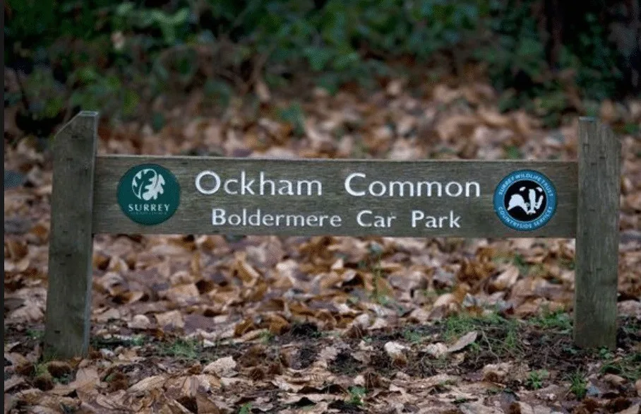 Surrey Police Ordered to Avoid Ockham Dogging Hotspot Over ‘Human Rights’ Fears