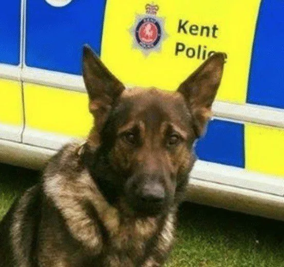 Ashford Teens Arrested After Knifepoint Robbery on Tannery Lane Bridge