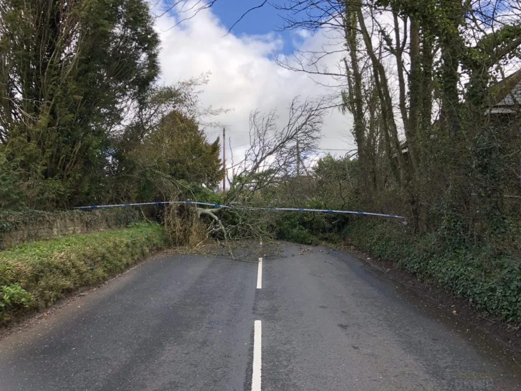 Isle of Wight Windstorm Brings Chaos: Trees Down, Roads Blocked, Ferries Cancelled