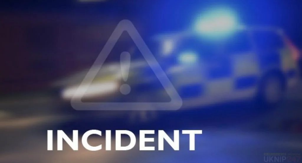 Rush Hour Gridlock on A3 Northbound After Multi-Car Crash Near Buster Hill