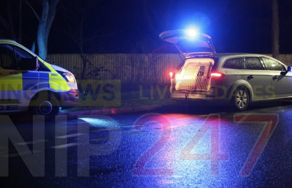 Sandown Mini Driver Slams Wall After Drink-Drive Arrest Near Apse Heath