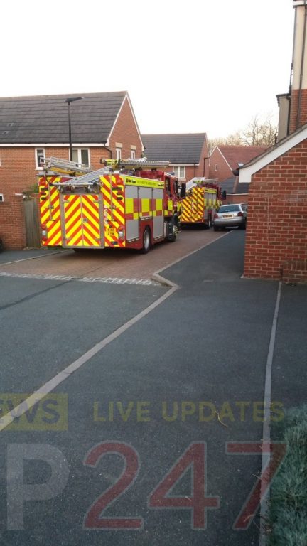 Unattended cooking sparks East Cowes fire alert