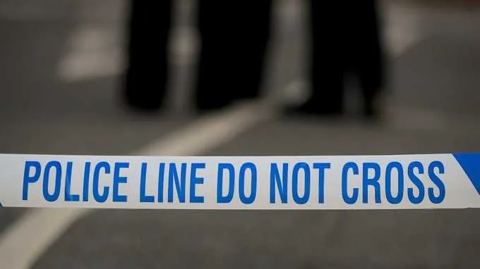 Man Tries to Snatch Toddler from Mum on Basingstoke Woodland Path – Suspect Detained, Police Seek Witnesses