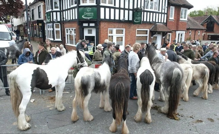 Wickham Horse Fair Triggers Massive Road Closures and Traffic Chaos on A334