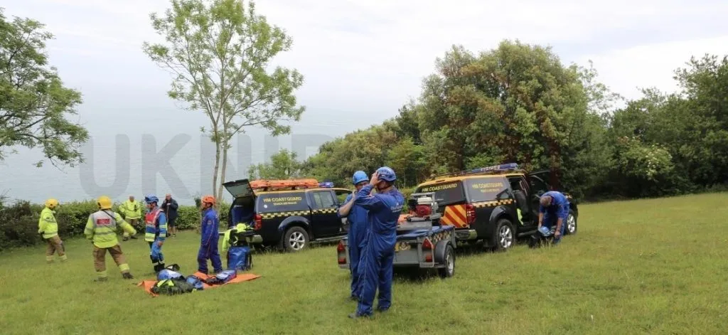 Dramatic Cliff Rescue for Isle of Wight Dog Dylan as Firefighters Save Stranded Spaniel